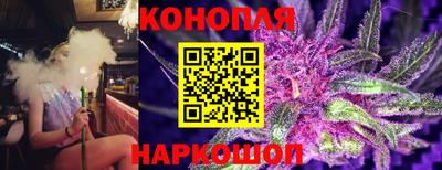 ешки Бийск