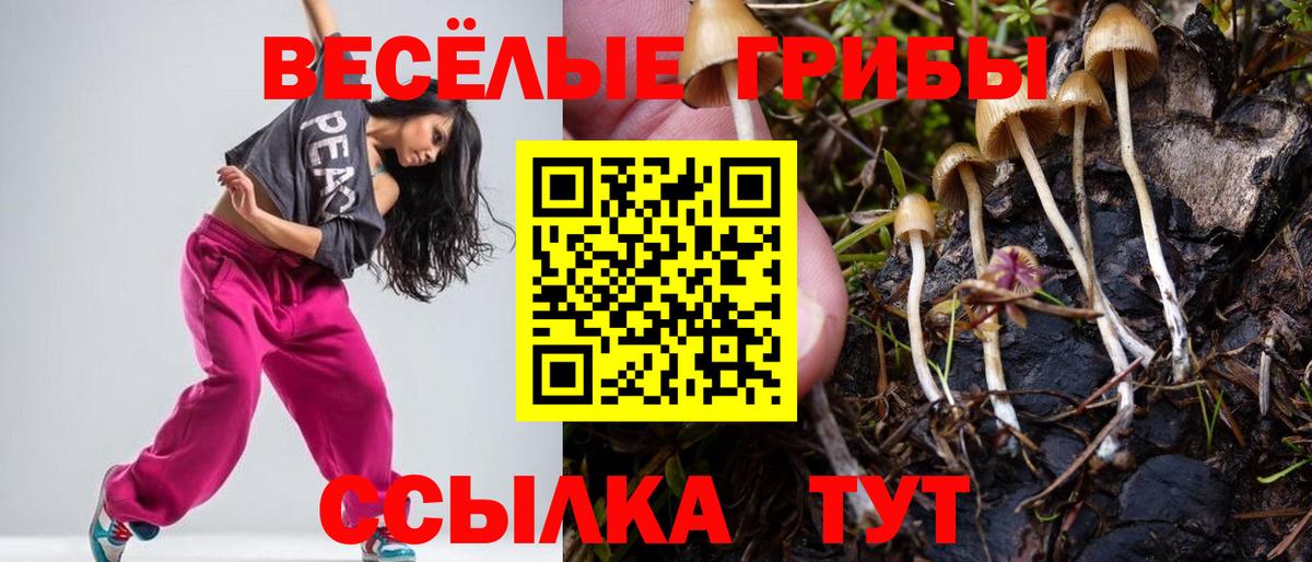 Псилоцибиновые грибы Psilocybine cubensis  Вход с VPN  Псилоцибиновые грибы Magic Shrooms  Апрелевка 